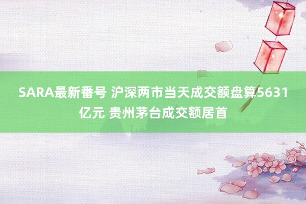 SARA最新番号 沪深两市当天成交额盘算5631亿元 贵州茅台成交额居首
