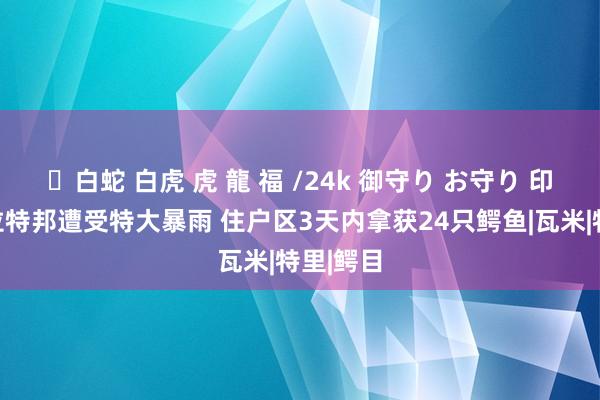 ✨白蛇 白虎 虎 龍 福 /24k 御守り お守り 印度古吉拉特邦遭受特大暴雨 住户区3天内拿获24只鳄鱼|瓦米|特里|鳄目