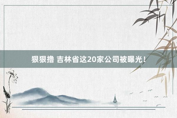 狠狠撸 吉林省这20家公司被曝光！