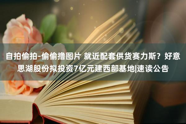 自拍偷拍-偷偷撸图片 就近配套供货赛力斯？好意思湖股份拟投资7亿元建西部基地|速读公告
