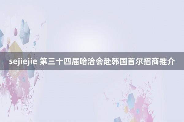 sejiejie 第三十四届哈洽会赴韩国首尔招商推介