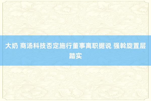 大奶 商汤科技否定施行董事离职据说 强斡旋置层踏实