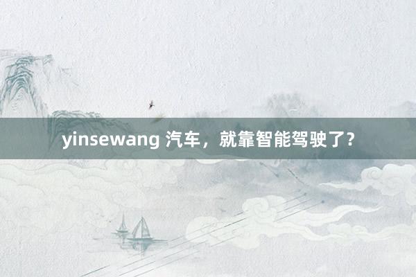 yinsewang 汽车，就靠智能驾驶了？