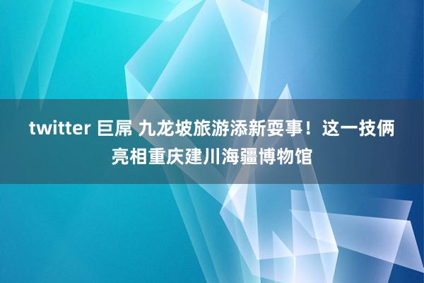 twitter 巨屌 九龙坡旅游添新耍事！这一技俩亮相重庆建川海疆博物馆