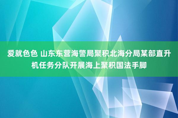 爱就色色 山东东营海警局聚积北海分局某部直升机任务分队开展海上聚积国法手脚