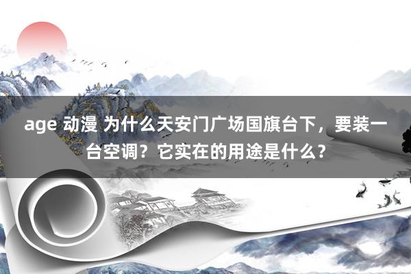 age 动漫 为什么天安门广场国旗台下，要装一台空调？它实在的用途是什么？
