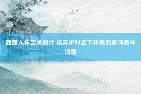 西西人体艺术图片 扬弃炉对足下环境的影响怎样消弱