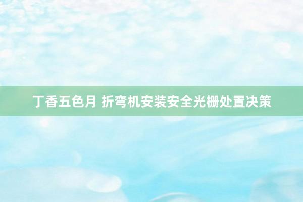 丁香五色月 折弯机安装安全光栅处置决策