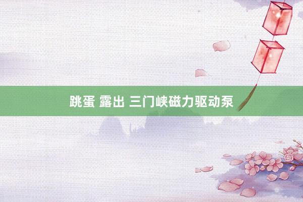 跳蛋 露出 三门峡磁力驱动泵