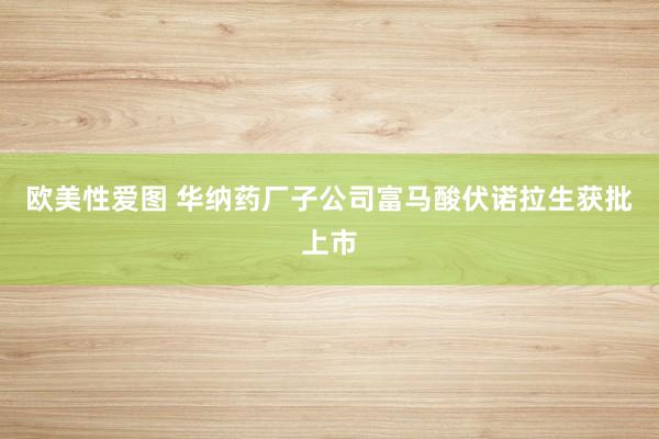 欧美性爱图 华纳药厂子公司富马酸伏诺拉生获批上市