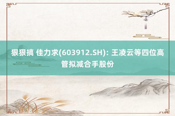 狠狠搞 佳力求(603912.SH): 王凌云等四位高管拟减合手股份