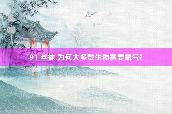 91 丝袜 为何大多数生物需要氧气?