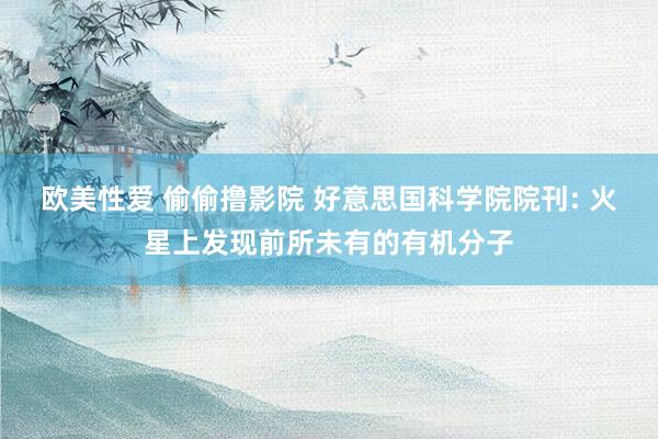 欧美性爱 偷偷撸影院 好意思国科学院院刊: 火星上发现前所未有的有机分子