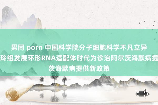 男同 porn 中国科学院分子细胞科学不凡立异中心陈玲玲组发展环形RNA适配体时代为诊治阿尔茨海默病提供新政策