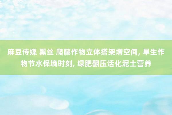 麻豆传媒 黑丝 爬藤作物立体搭架增空间, 旱生作物节水保墒时刻, 绿肥翻压活化泥土营养