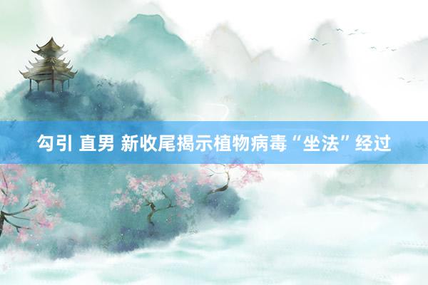 勾引 直男 新收尾揭示植物病毒“坐法”经过