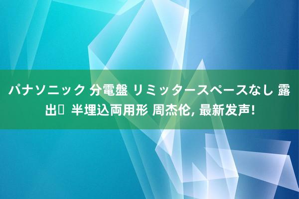 パナソニック 分電盤 リミッタースペースなし 露出・半埋込両用形 周杰伦, 最新发声!
