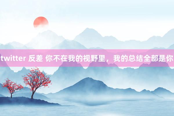 twitter 反差 你不在我的视野里，我的总结全部是你