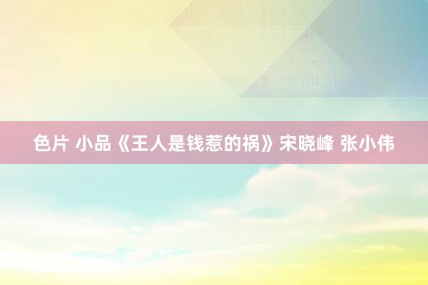 色片 小品《王人是钱惹的祸》宋晓峰 张小伟