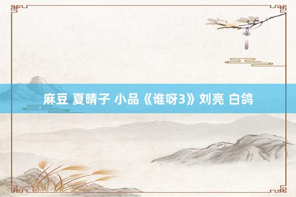 麻豆 夏晴子 小品《谁呀3》刘亮 白鸽